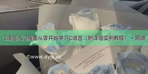 C语言入门指南从零开始学习C语言（附详细实例教程） – 网络