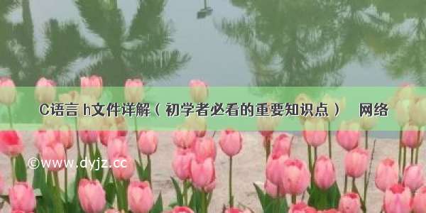 C语言 h文件详解（初学者必看的重要知识点） – 网络