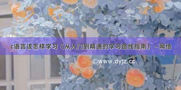 c语言该怎样学习（从入门到精通的学习路线指南） – 网络