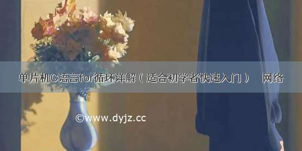 单片机C语言for循环详解（适合初学者快速入门） – 网络