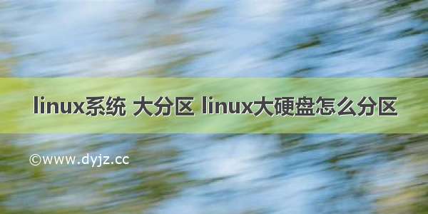 linux系统 大分区 linux大硬盘怎么分区