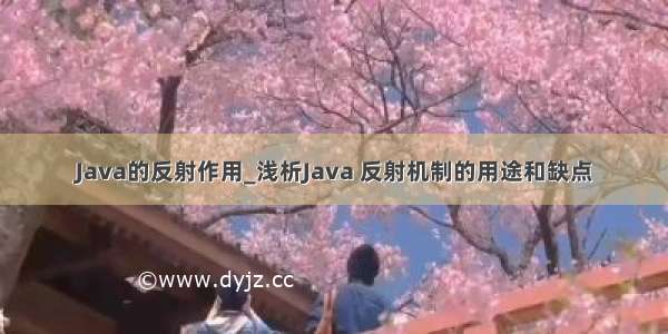 Java的反射作用_浅析Java 反射机制的用途和缺点