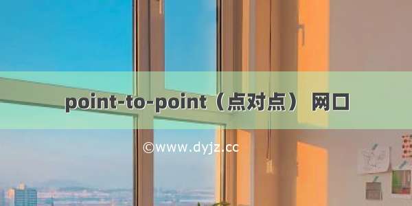 point-to-point（点对点） 网口