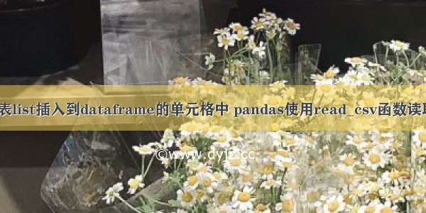 pandas将列表list插入到dataframe的单元格中 pandas使用read_csv函数读取文件并设置