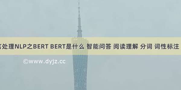 自然语言处理NLP之BERT BERT是什么 智能问答 阅读理解 分词 词性标注 数据增强