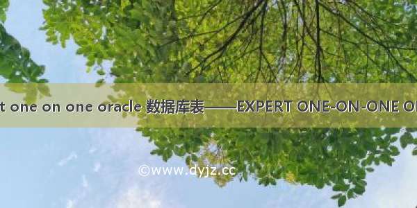 expert one on one oracle 数据库表——EXPERT ONE-ON-ONE ORACLE