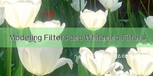 Modeling Filters and Whitening Filters