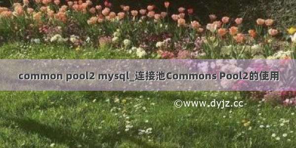 common pool2 mysql_连接池Commons Pool2的使用