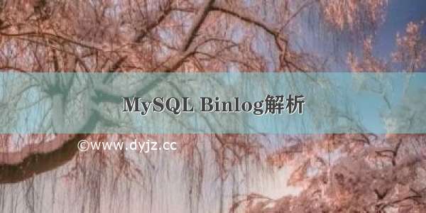 MySQL Binlog解析