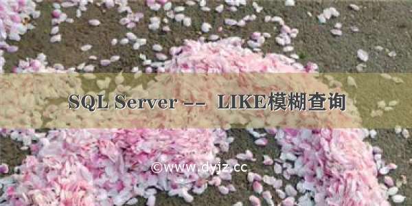 SQL Server --  LIKE模糊查询