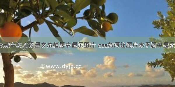 html中怎么设置文本框居中显示图片 css如何让图片水平居中显示？