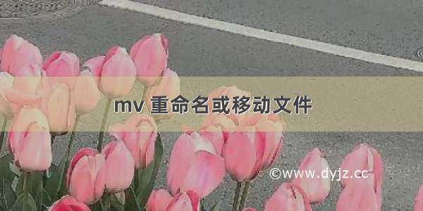 mv 重命名或移动文件