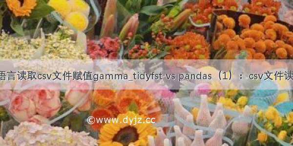 r语言读取csv文件赋值gamma_tidyfst vs pandas（1）：csv文件读写