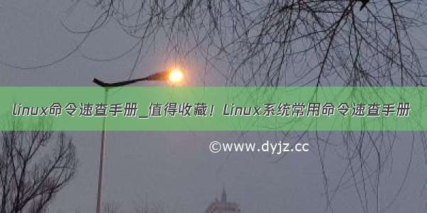 linux命令速查手册_值得收藏！Linux系统常用命令速查手册