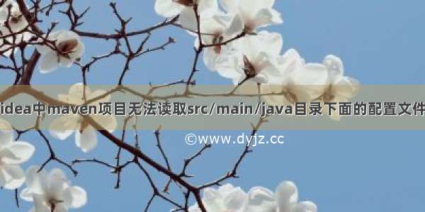 解决idea中maven项目无法读取src/main/java目录下面的配置文件问题