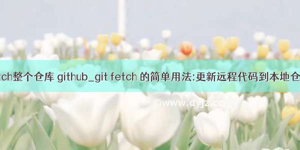 fetch整个仓库 github_git fetch 的简单用法:更新远程代码到本地仓库