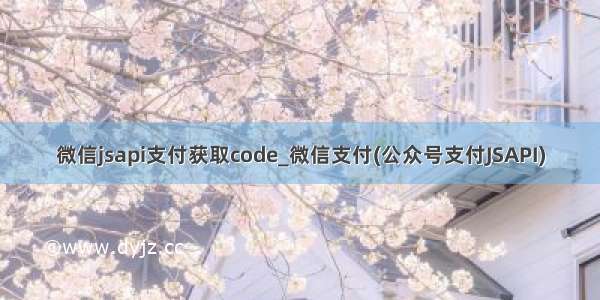 微信jsapi支付获取code_微信支付(公众号支付JSAPI)