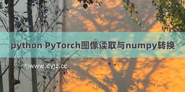 python PyTorch图像读取与numpy转换