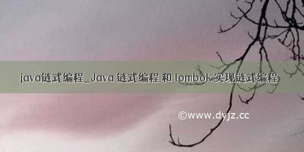 java链式编程_Java 链式编程 和 lombok 实现链式编程