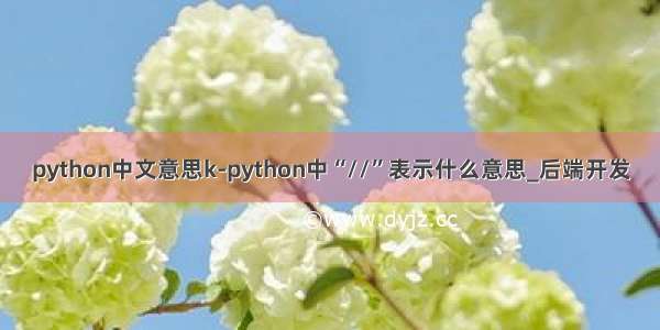 python中文意思k-python中“//”表示什么意思_后端开发