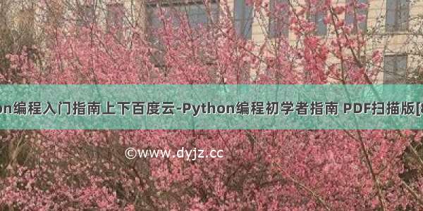 python编程入门指南上下百度云-Python编程初学者指南 PDF扫描版[87MB]