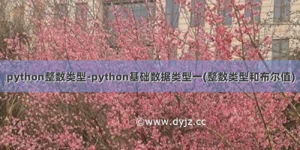 python整数类型-python基础数据类型一(整数类型和布尔值)