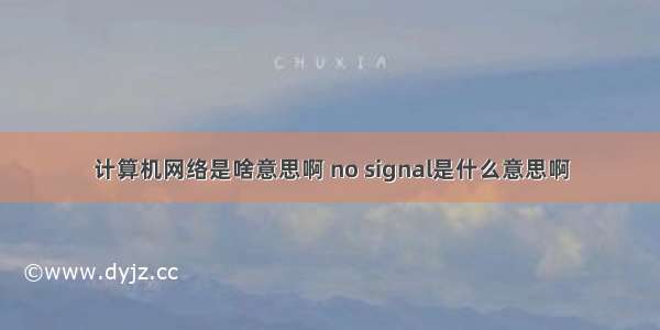 计算机网络是啥意思啊 no signal是什么意思啊