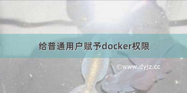 给普通用户赋予docker权限