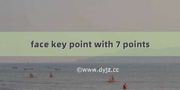 face key point with 7 points