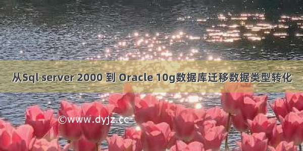 从Sql server 2000 到 Oracle 10g数据库迁移数据类型转化