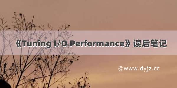 《Tuning I/O Performance》读后笔记