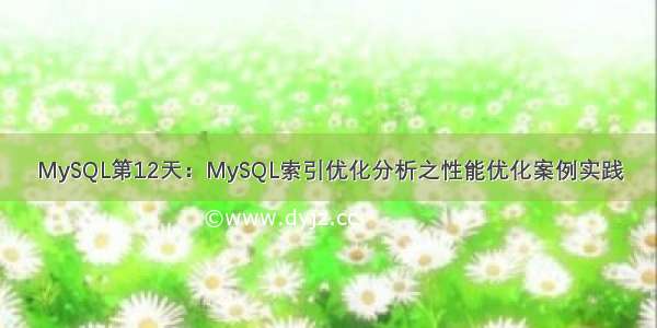 MySQL第12天：MySQL索引优化分析之性能优化案例实践