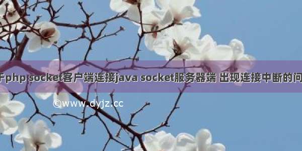 关于php socket客户端连接java socket服务器端 出现连接中断的问题。