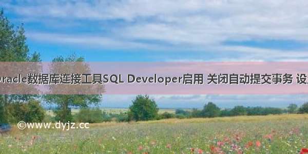 Mac 技术篇-Oracle数据库连接工具SQL Developer启用 关闭自动提交事务 设置自动commit