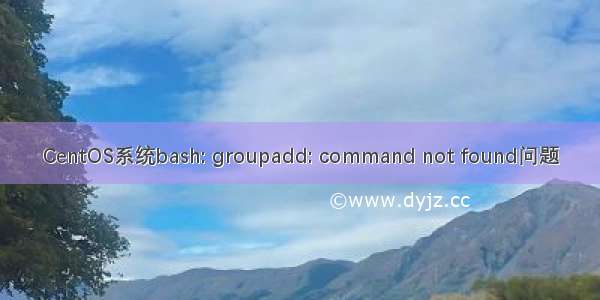 CentOS系统bash: groupadd: command not found问题