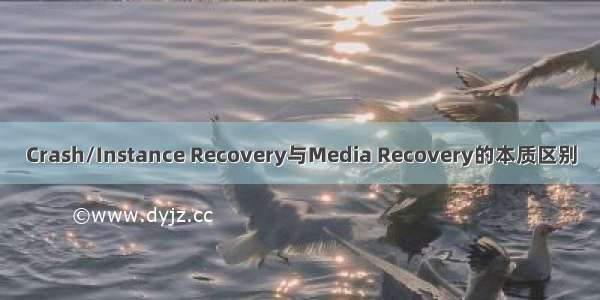 Crash/Instance Recovery与Media Recovery的本质区别