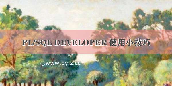 PL/SQL DEVELOPER 使用小技巧