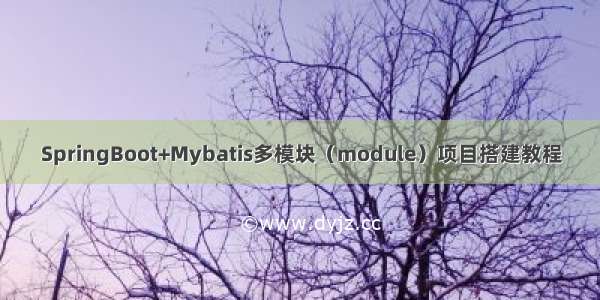 SpringBoot+Mybatis多模块（module）项目搭建教程