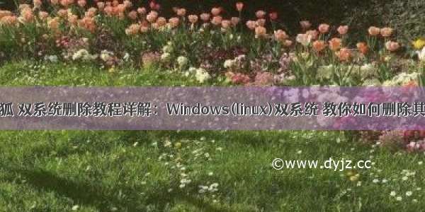 Linux卸载搜狐 双系统删除教程详解：Windows(linux)双系统 教你如何删除其中一个！...