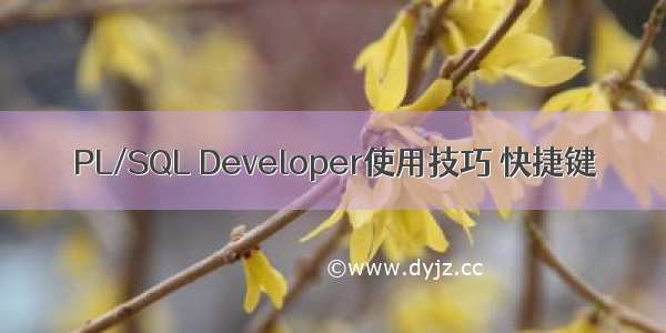 PL/SQL Developer使用技巧 快捷键