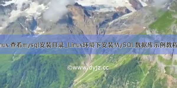 linux 查看mysql安装目录_Linux环境下安装MySQL数据库示例教程