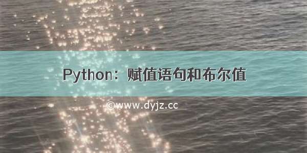 Python：赋值语句和布尔值