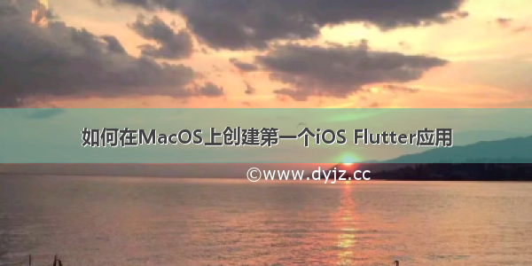 如何在MacOS上创建第一个iOS Flutter应用