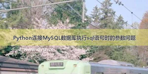 Python连接MySQL数据库执行sql语句时的参数问题