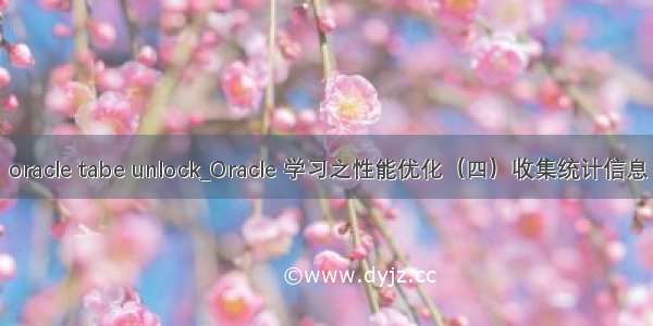 oracle tabe unlock_Oracle 学习之性能优化（四）收集统计信息