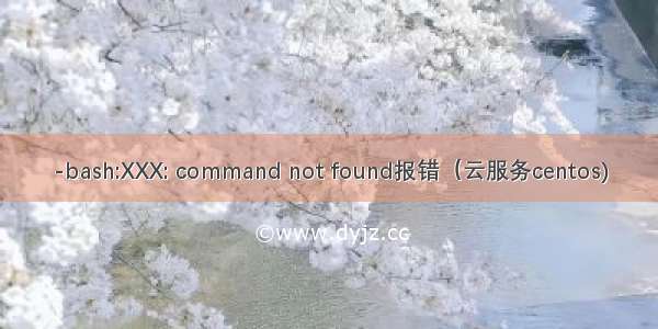 -bash:XXX: command not found报错（云服务centos)