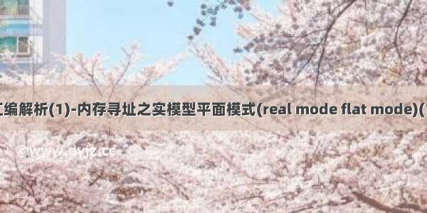 汇编解析(1)-内存寻址之实模型平面模式(real mode flat mode)(1)