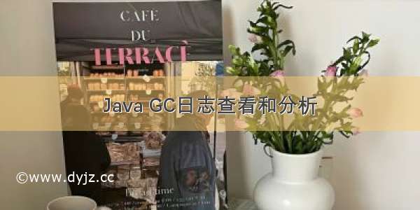 Java GC日志查看和分析