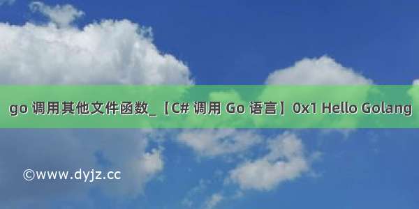 go 调用其他文件函数_【C# 调用 Go 语言】0x1 Hello Golang