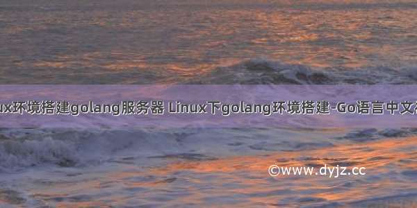 linux环境搭建golang服务器 Linux下golang环境搭建-Go语言中文社区